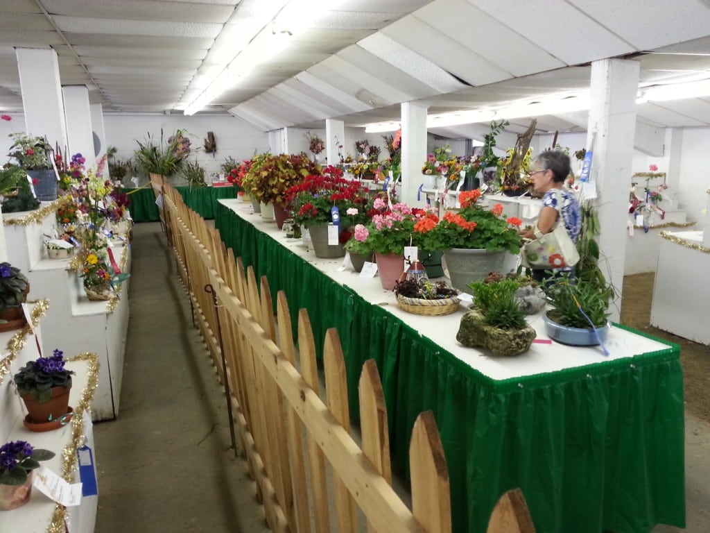 Open Class Flowers and Vegetable Exhibits under the Grandstand