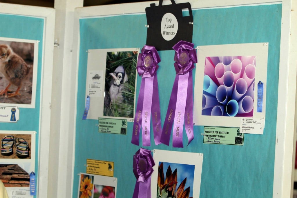 4H and FFA Youth Exhibitors show their talent in the Photography Exhibits