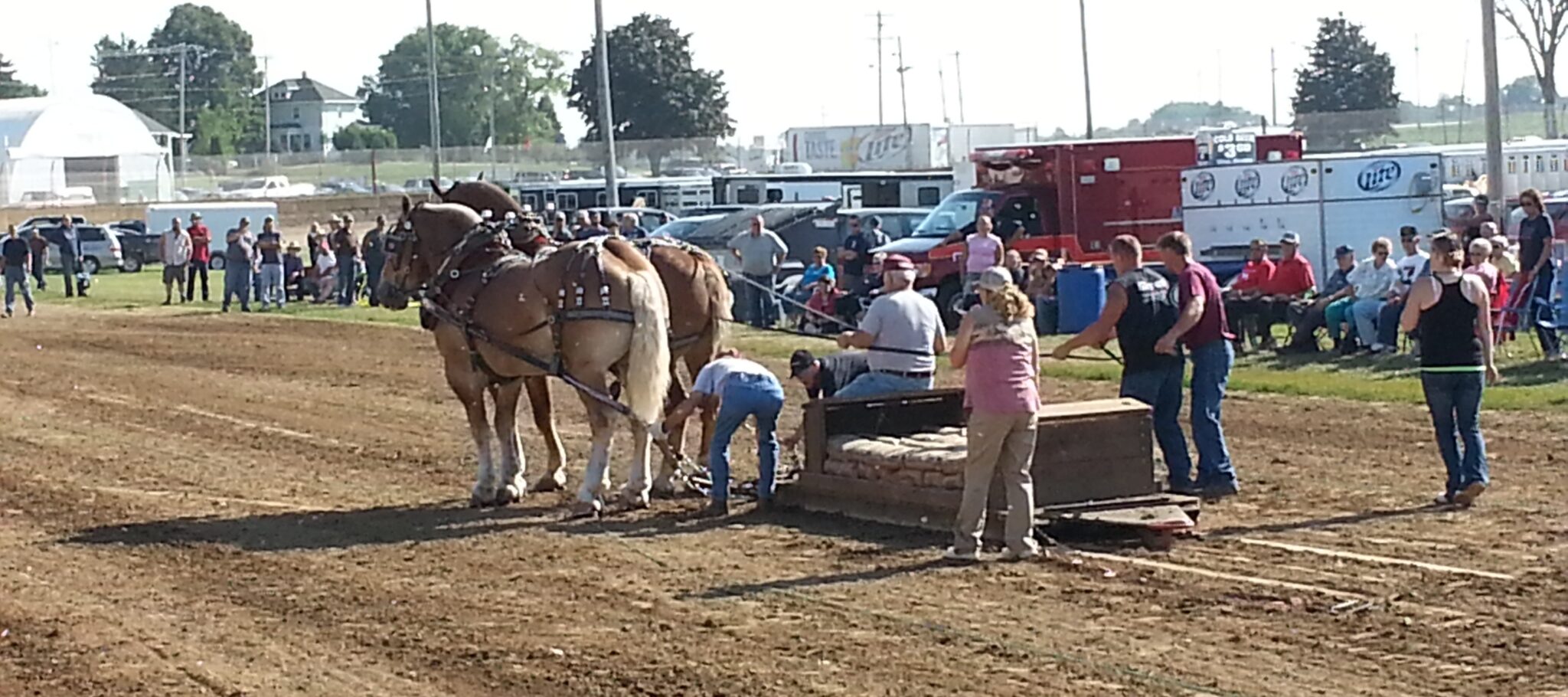 Horse Pull at the Dodge County Fair