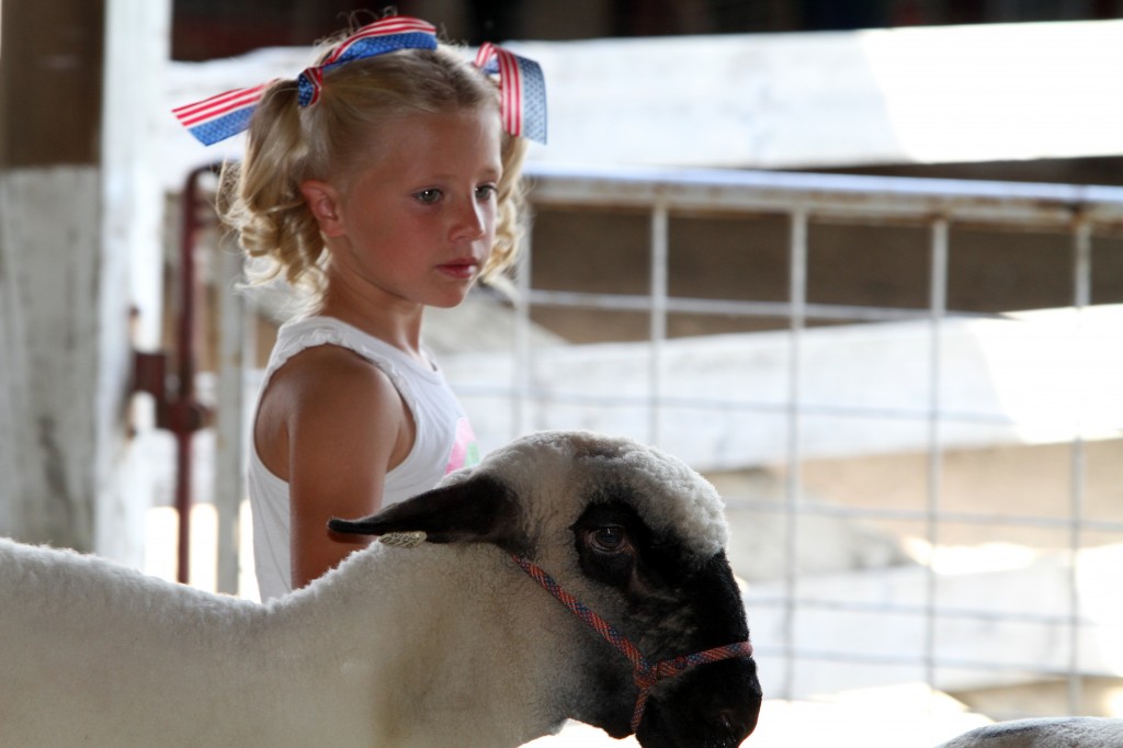 Little Shepherds Showmanship at the Fair