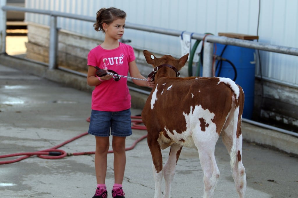 Youth Washing and Caring for Animals