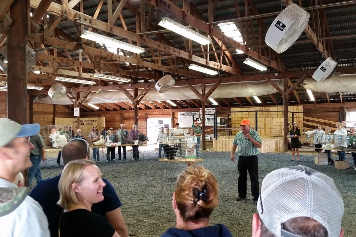 Livestock Shows and Auctions Dodge County Fairgrounds