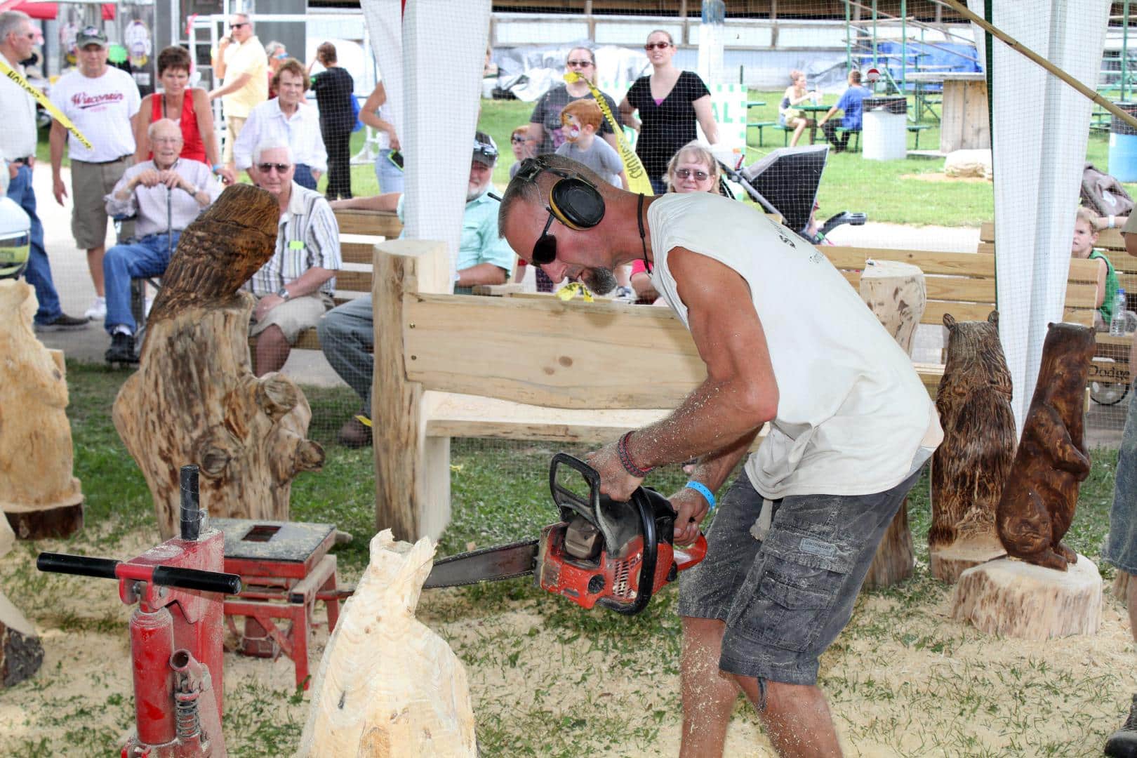 Chainsaw Carving Demonstration Wisconsin