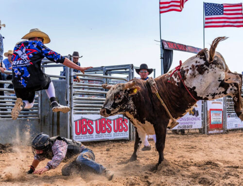 Rice Rodeo Co. will Rope-In Families & Fans for Dodge County Rodeo